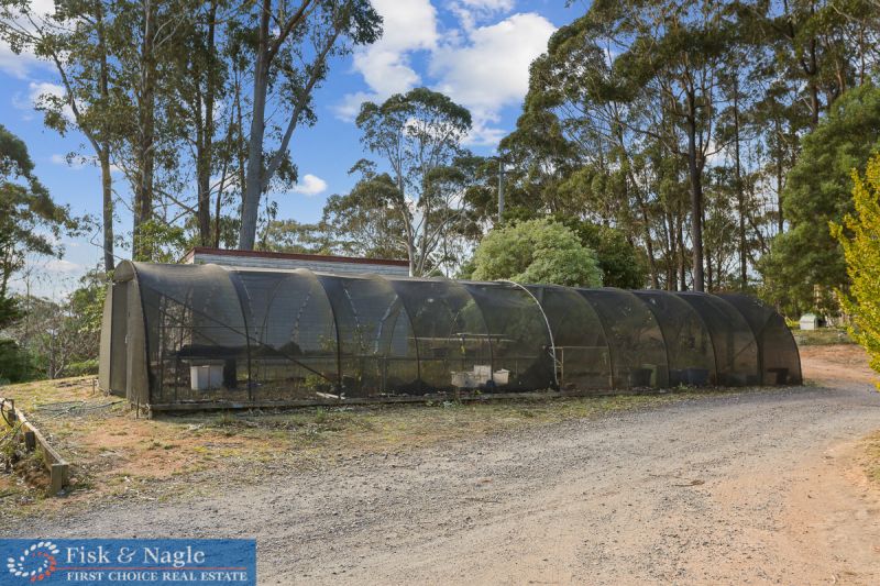32 Myrtle Road via Candelo NSW, Via Candelo - Thumbnail 6