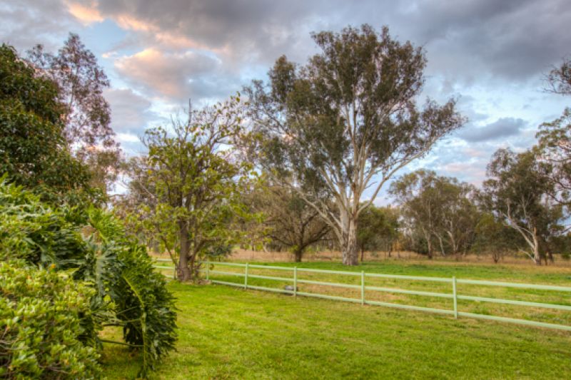 80 Goulburn Street Jindera NSW, Jindera - Thumbnail 4