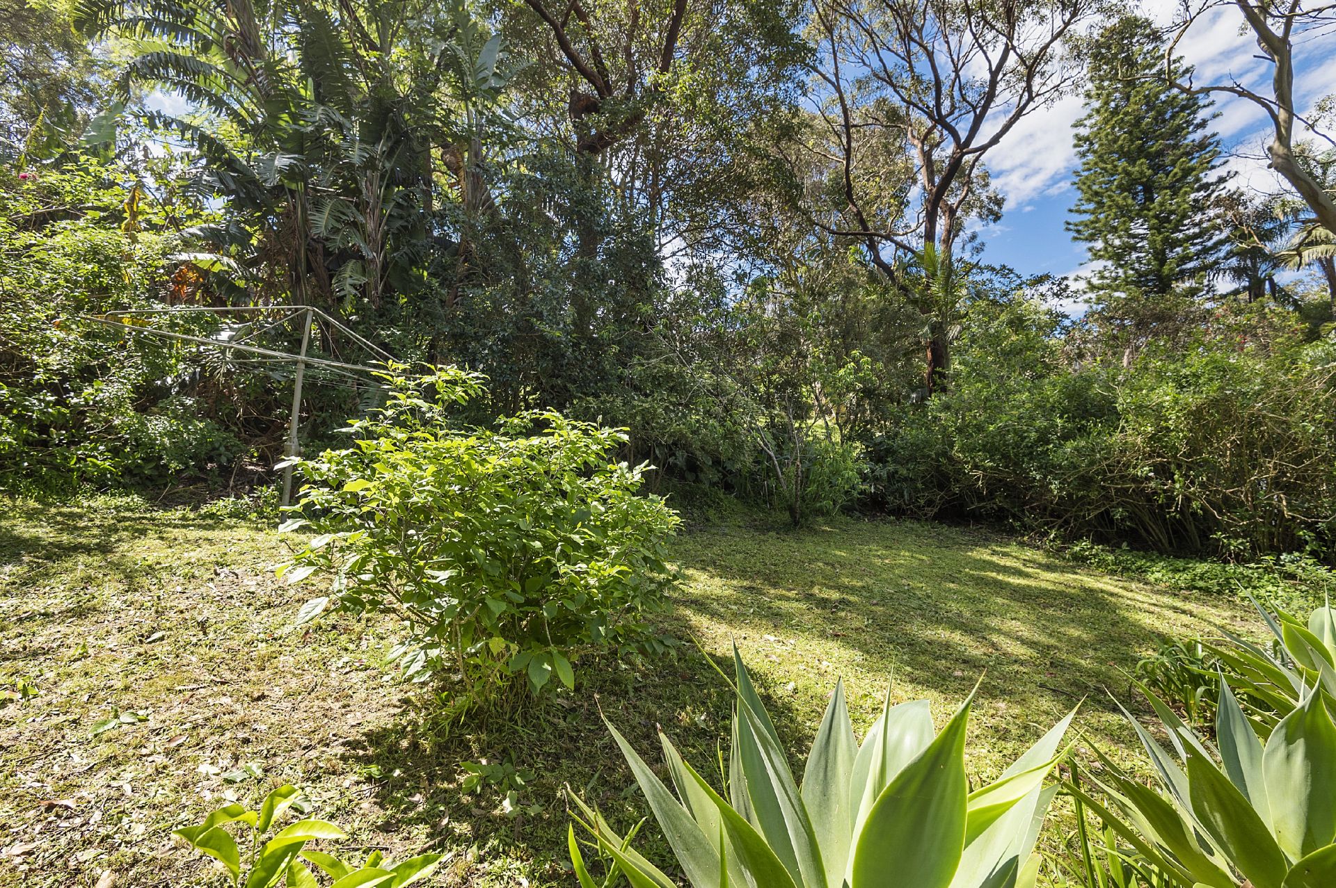 77 Dolphin Crescent Avalon Beach NSW, Avalon Beach - Thumbnail 2