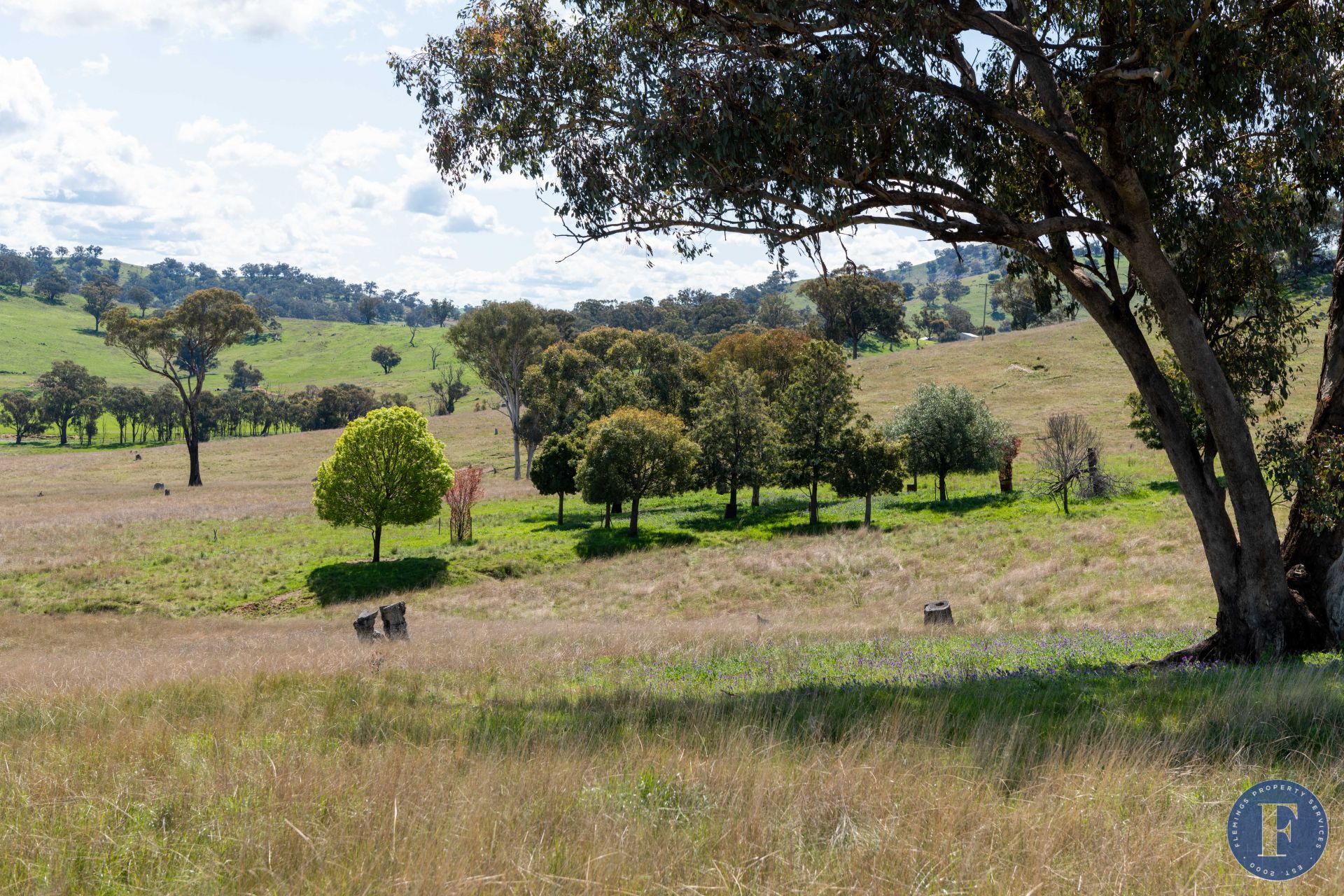 444 Hoares Lane, Coolac NSW, Coolac - Thumbnail 5