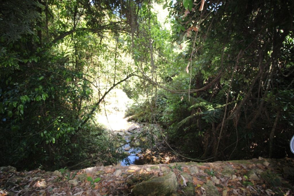 , BIRDWOOD NSW 2446