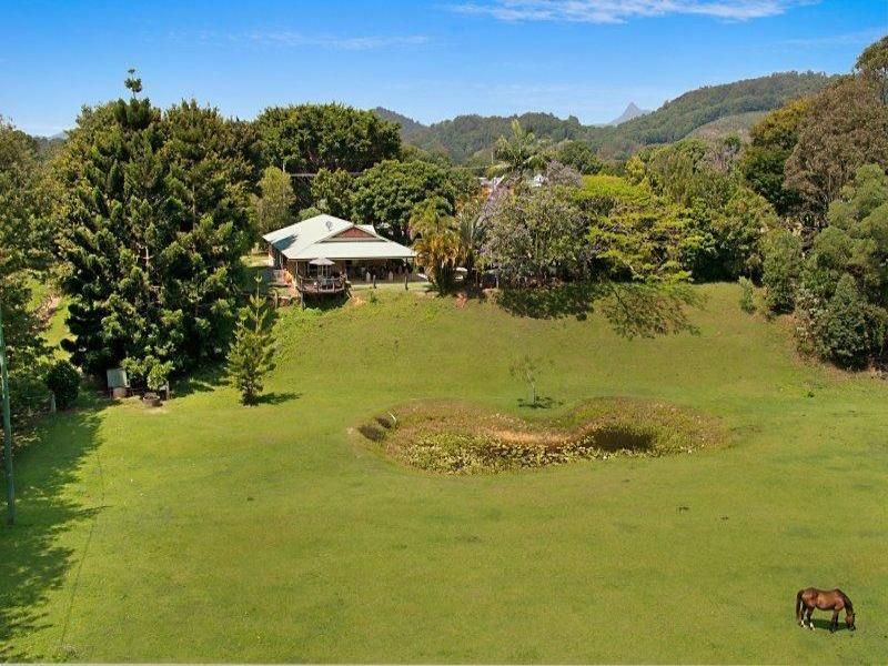 11 Campbells Road, TWEED VALLEY MURWILLUMBAH NSW, Tweed Valley Murwillumbah - Thumbnail 6