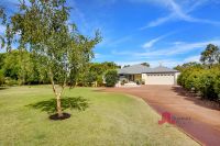 Leschenault