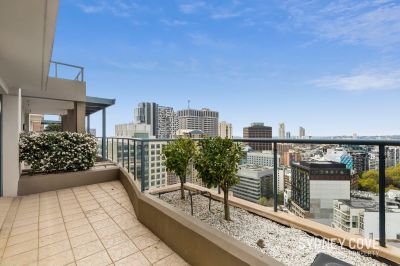 424/303 Castlereagh Street, SYDNEY NSW 2000, Sydney - Thumbnail 2
