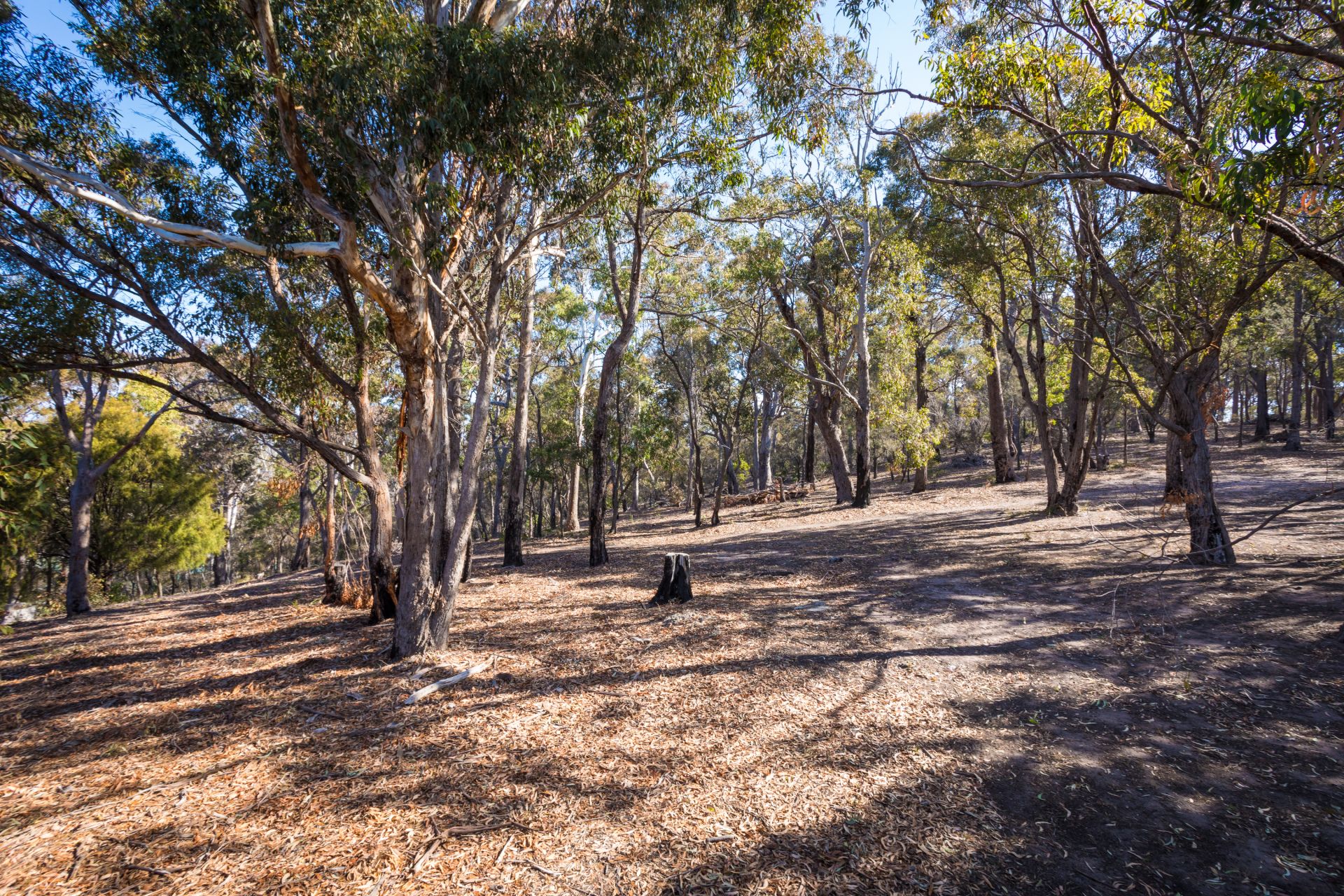 8 Kanangra Street, Pambula Beach
