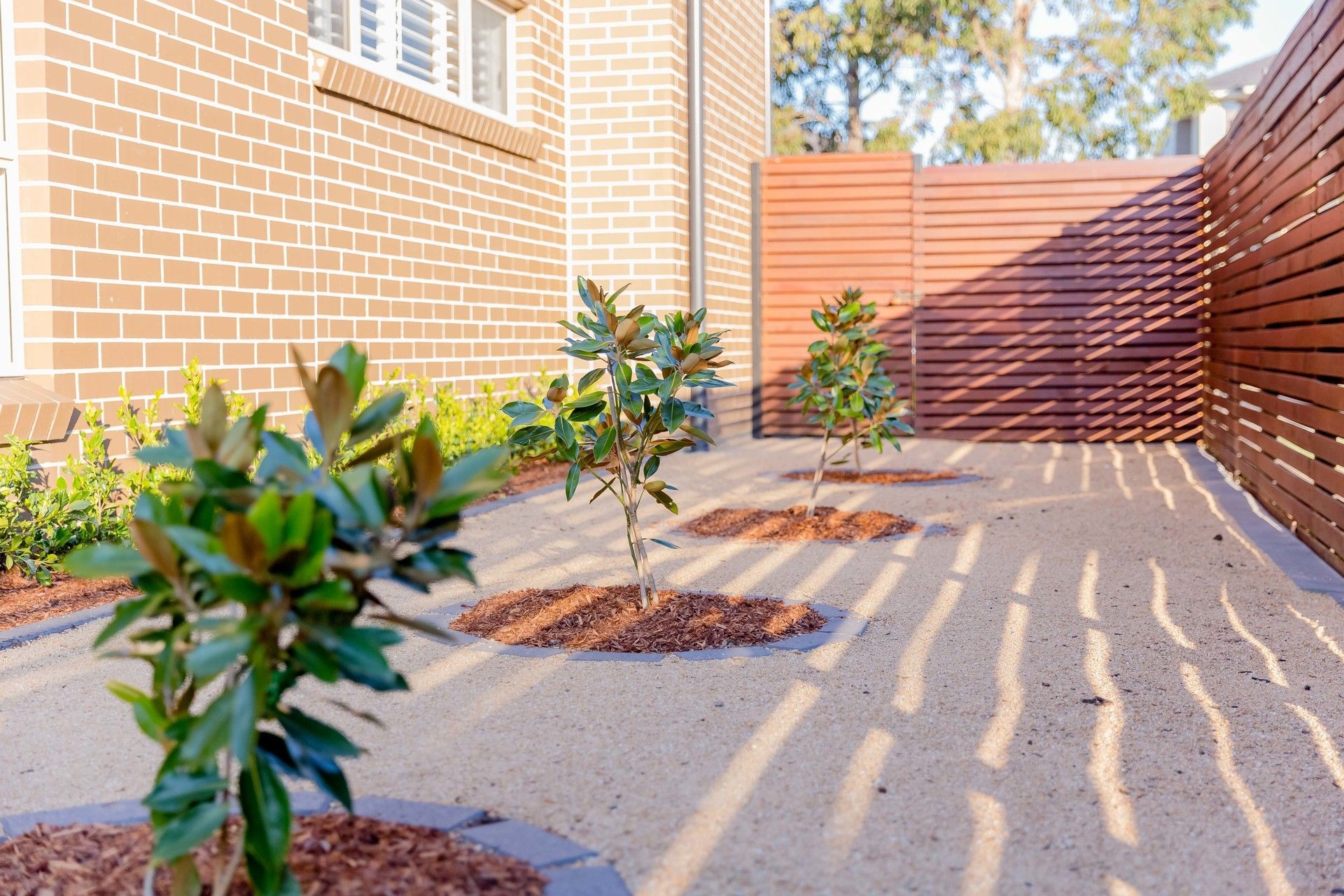 Colebee 61 Kirkwood Crescent