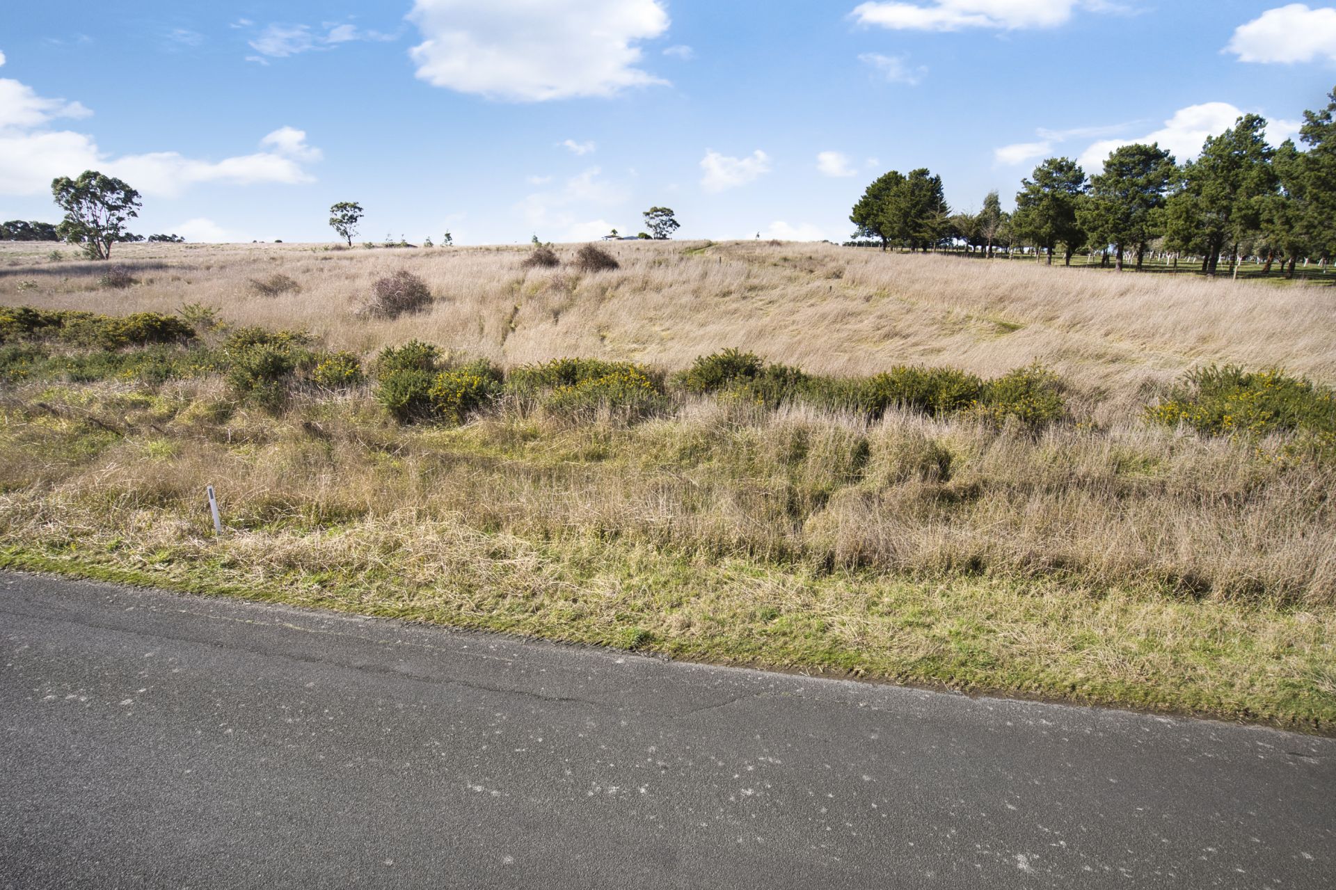245 Learmonth Road, Clunes, Clunes, Clunes - Thumbnail 5