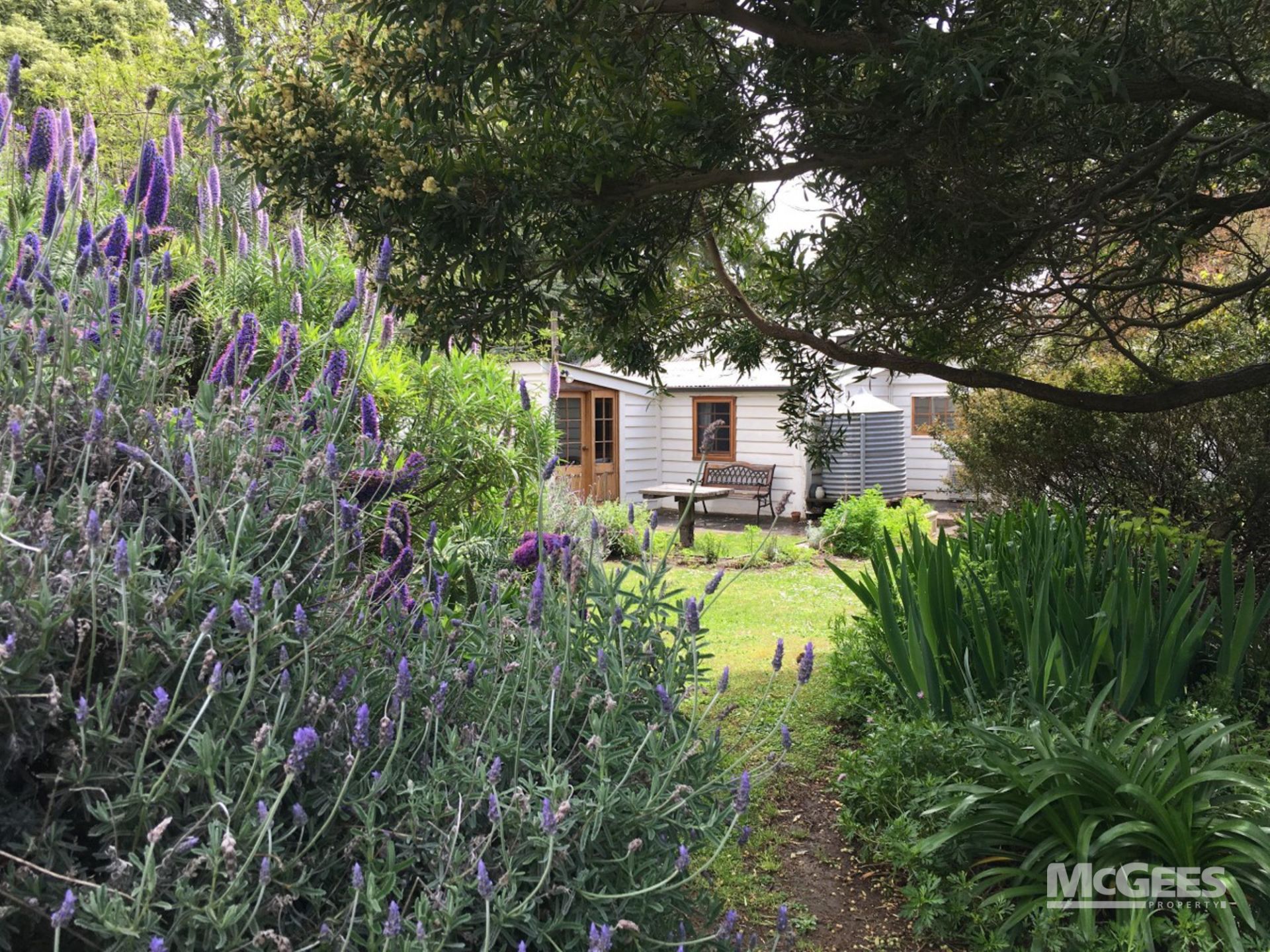 126 Church Street, Penola McGees Property Adelaide