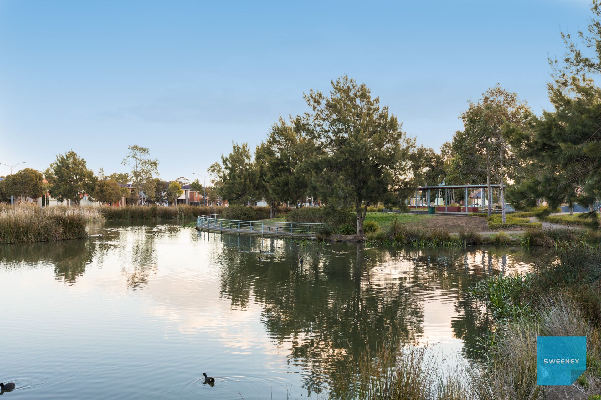 21 Woolshed Avenue, Cairnlea - Thumbnail 4