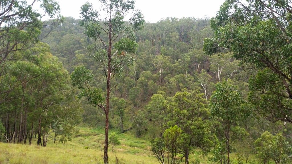 1715 Kangaroo Flat Road, YARROWITCH NSW 2354