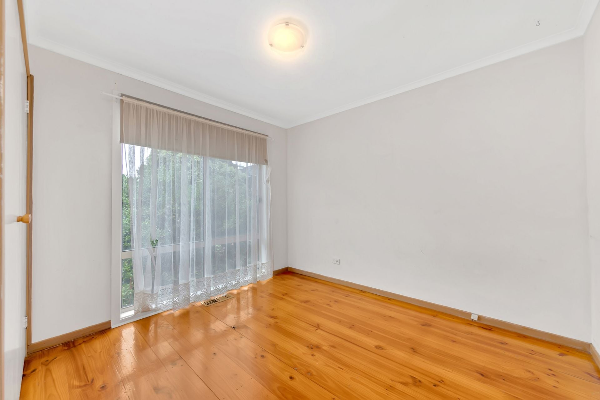 RENOVATORS DELIGHT
