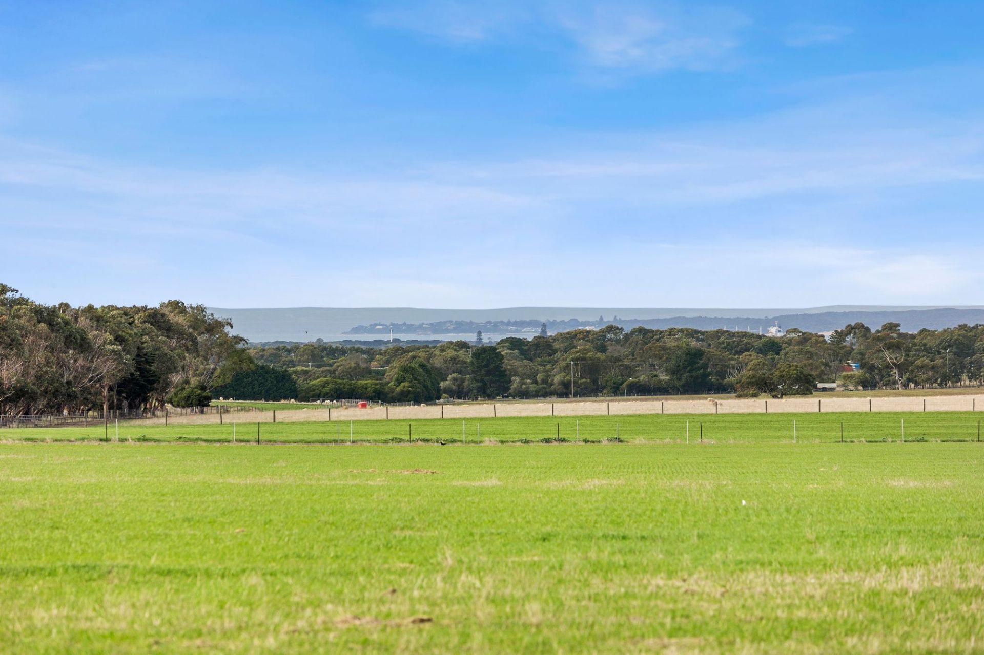55 Cerberus Drive Ocean Grove VIC, Ocean Grove - Thumbnail 8
