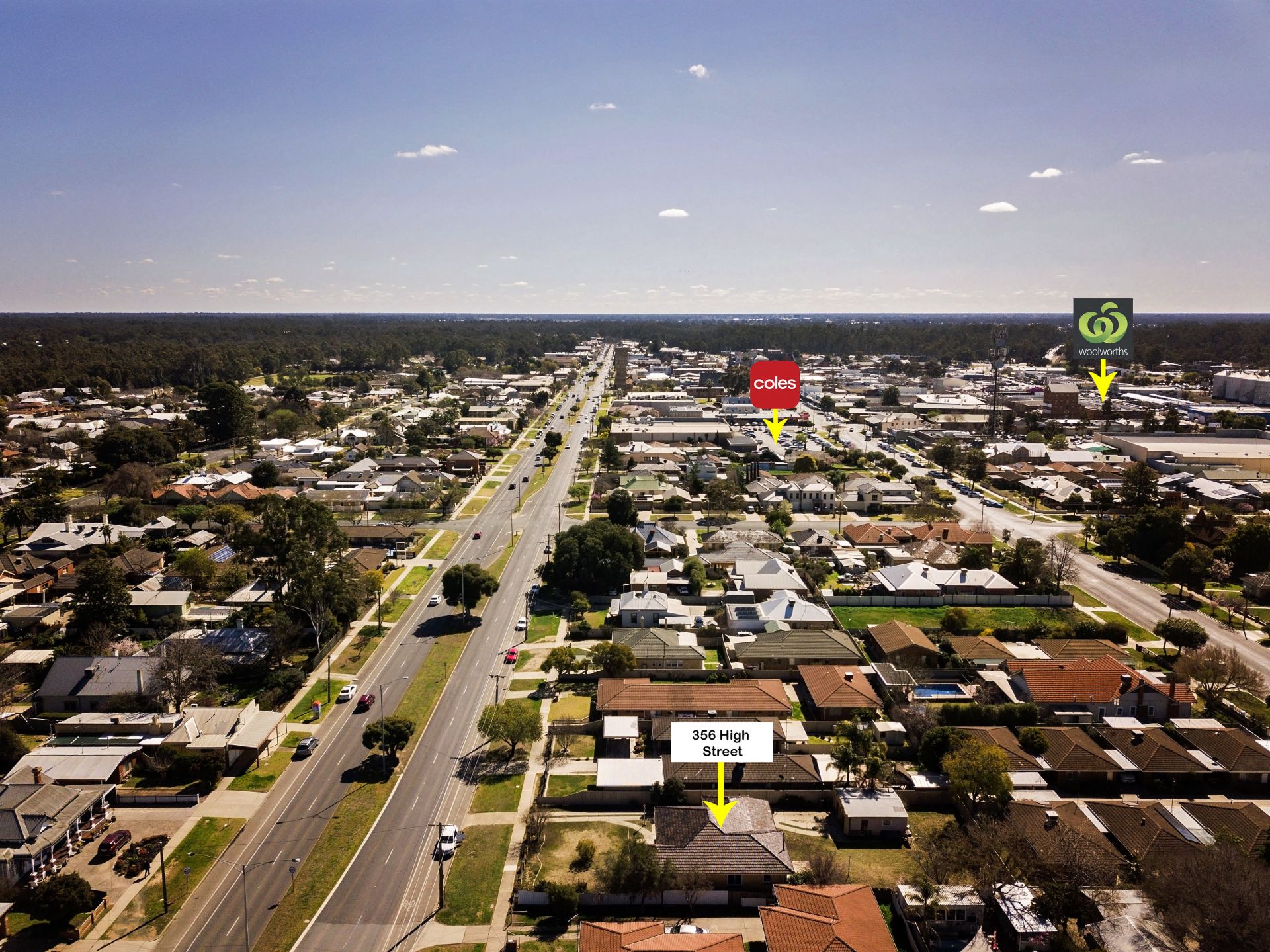 356 High Street, Echuca Charles L King & Co