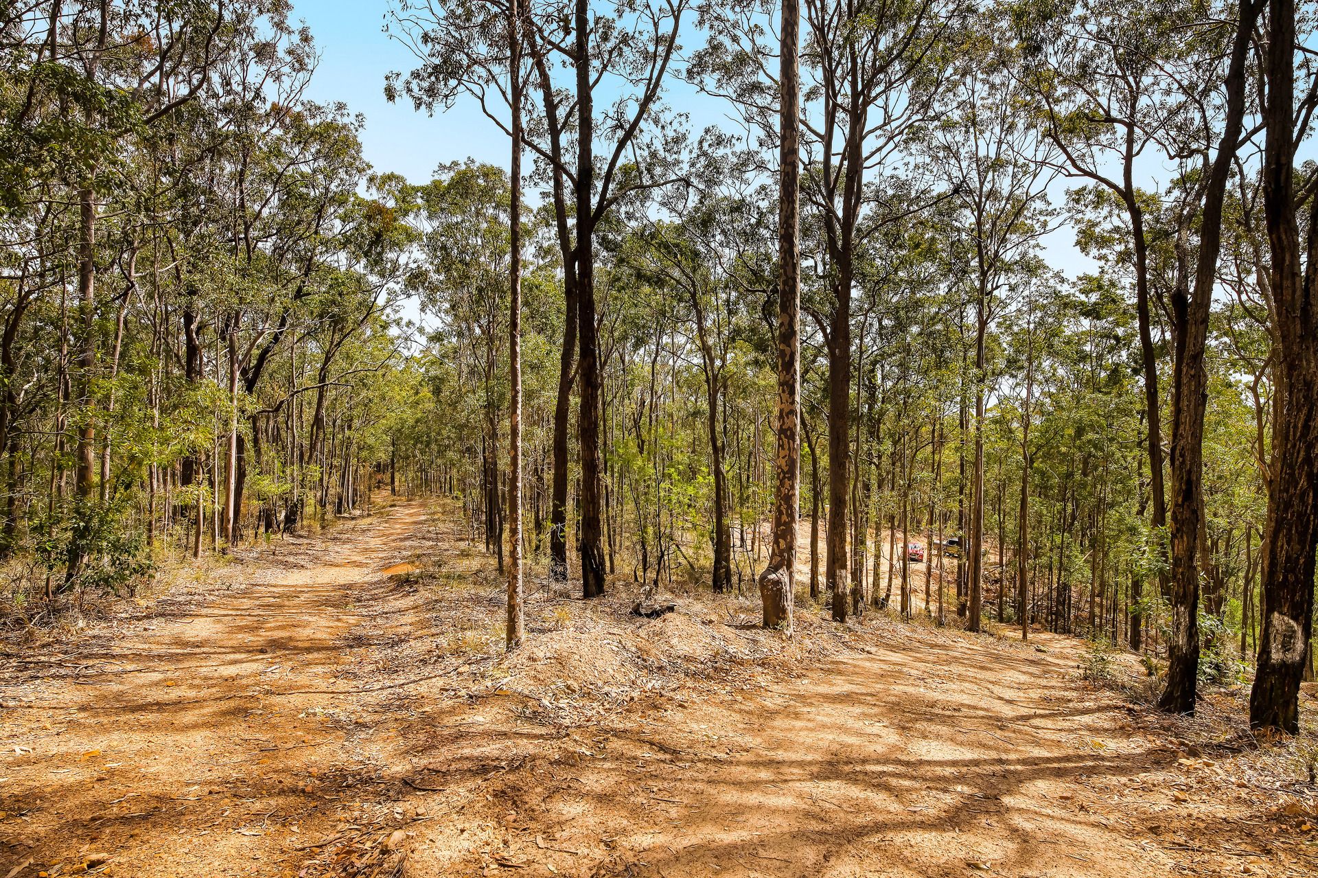 Lot 159 -160 Mountview Road, Millfield, Millfield - Thumbnail 3
