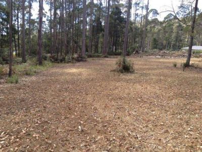 51 Wattle Valley Road, ACACIA HILLS, Acacia Hills - Thumbnail 6