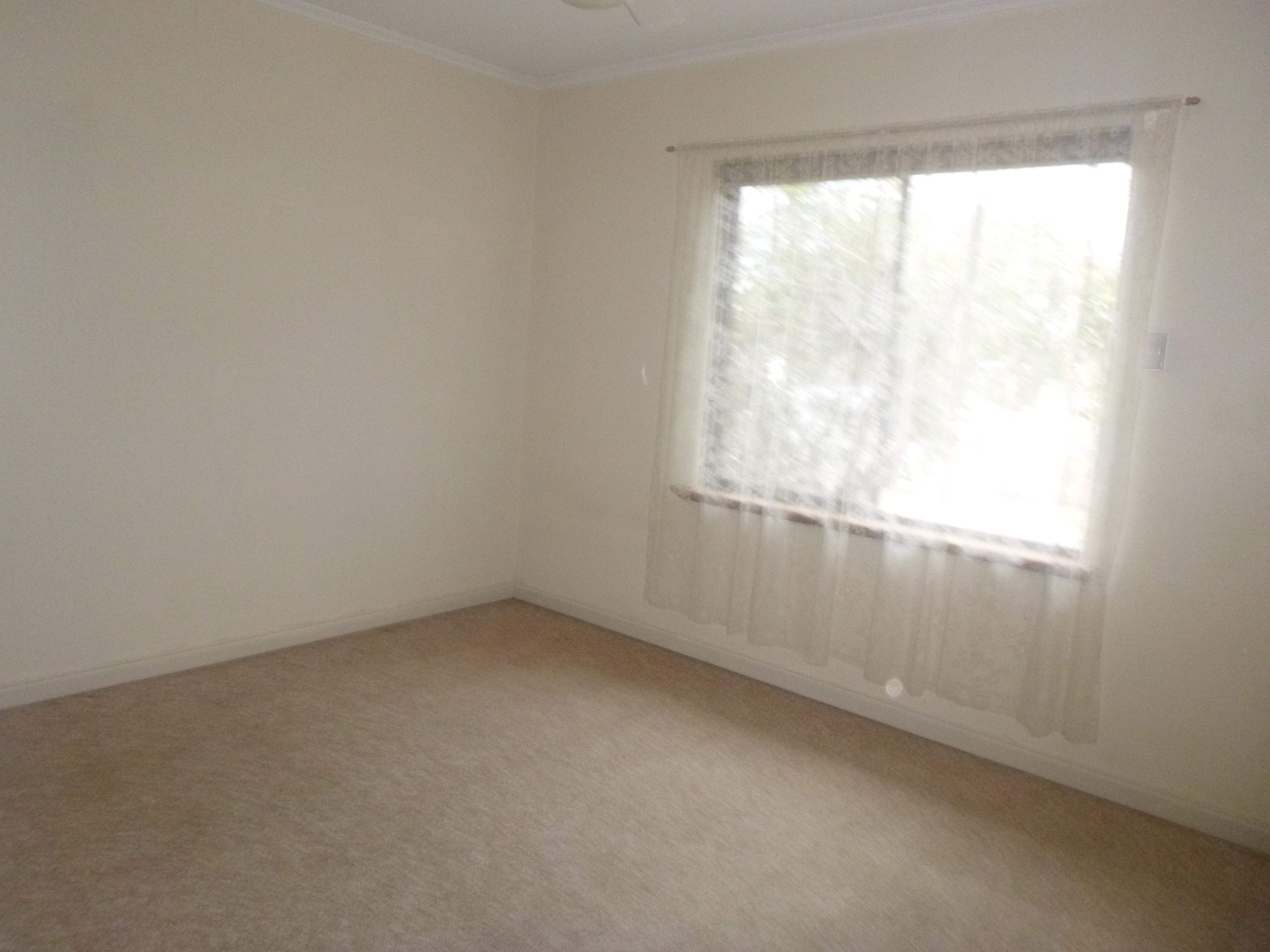 13 Buccleuch Avenue Findon 5023