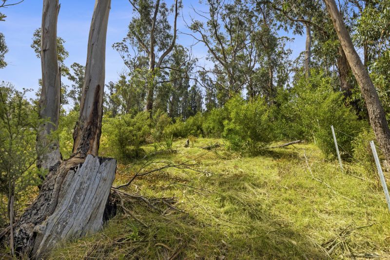 45 Karingal Drive, Wye River, VIC, Wye River - Thumbnail 4