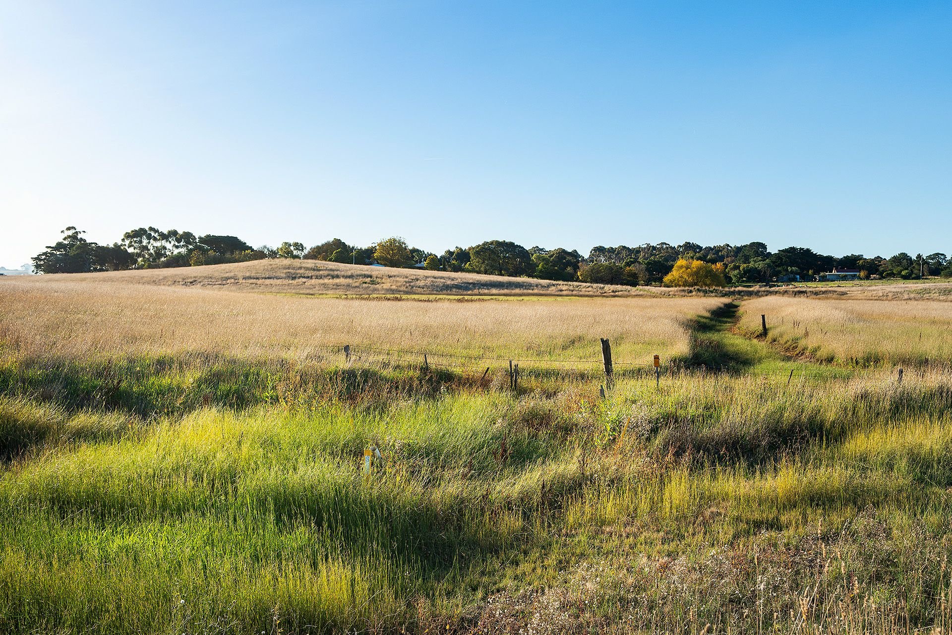 Real Estate For Sale Lot 2/ WillauraWickliffe Road Wickliffe , VIC