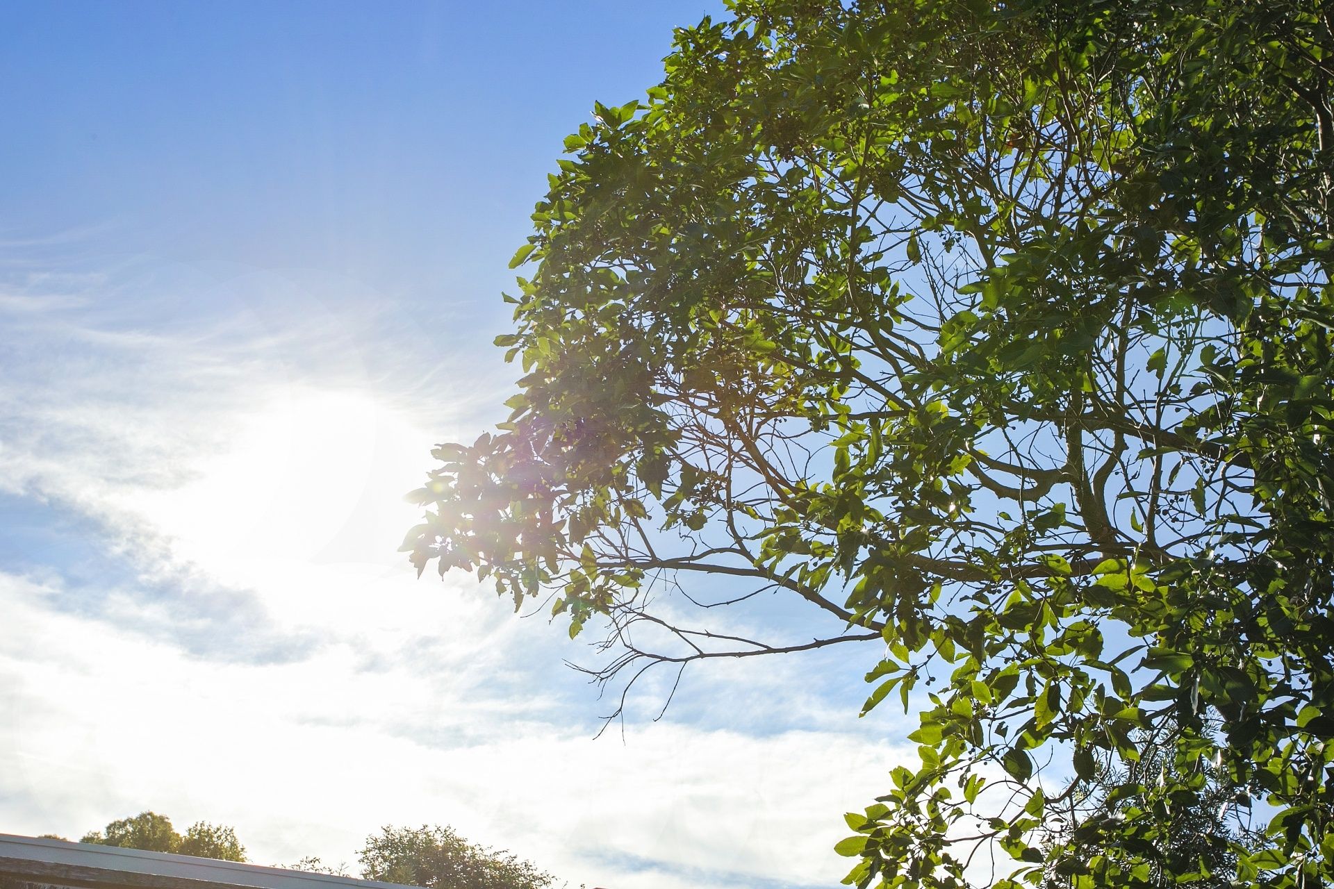 9 Heath Close Ocean Grove VIC, Ocean Grove - Thumbnail 7
