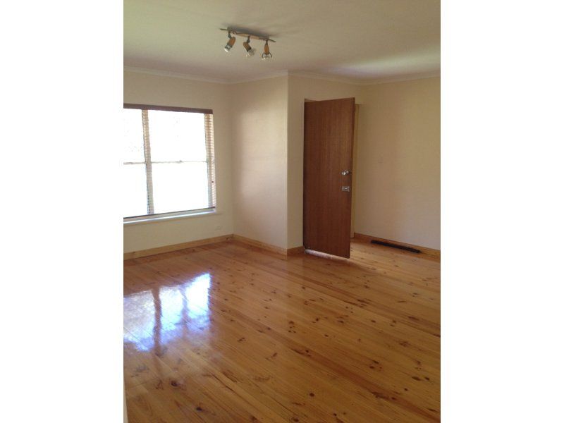 19B Cash Grove Pasadena 5042