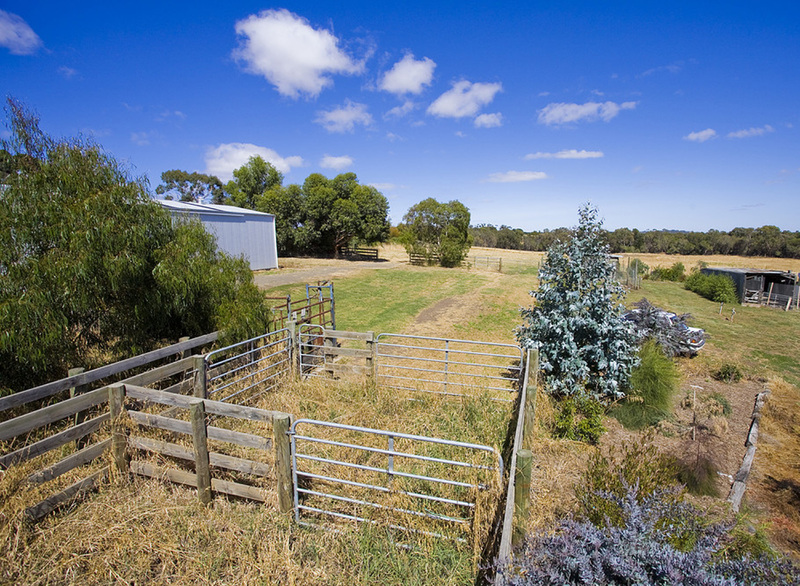 38 Ennis Street, Birregurra, VIC, Birregurra - Thumbnail 8