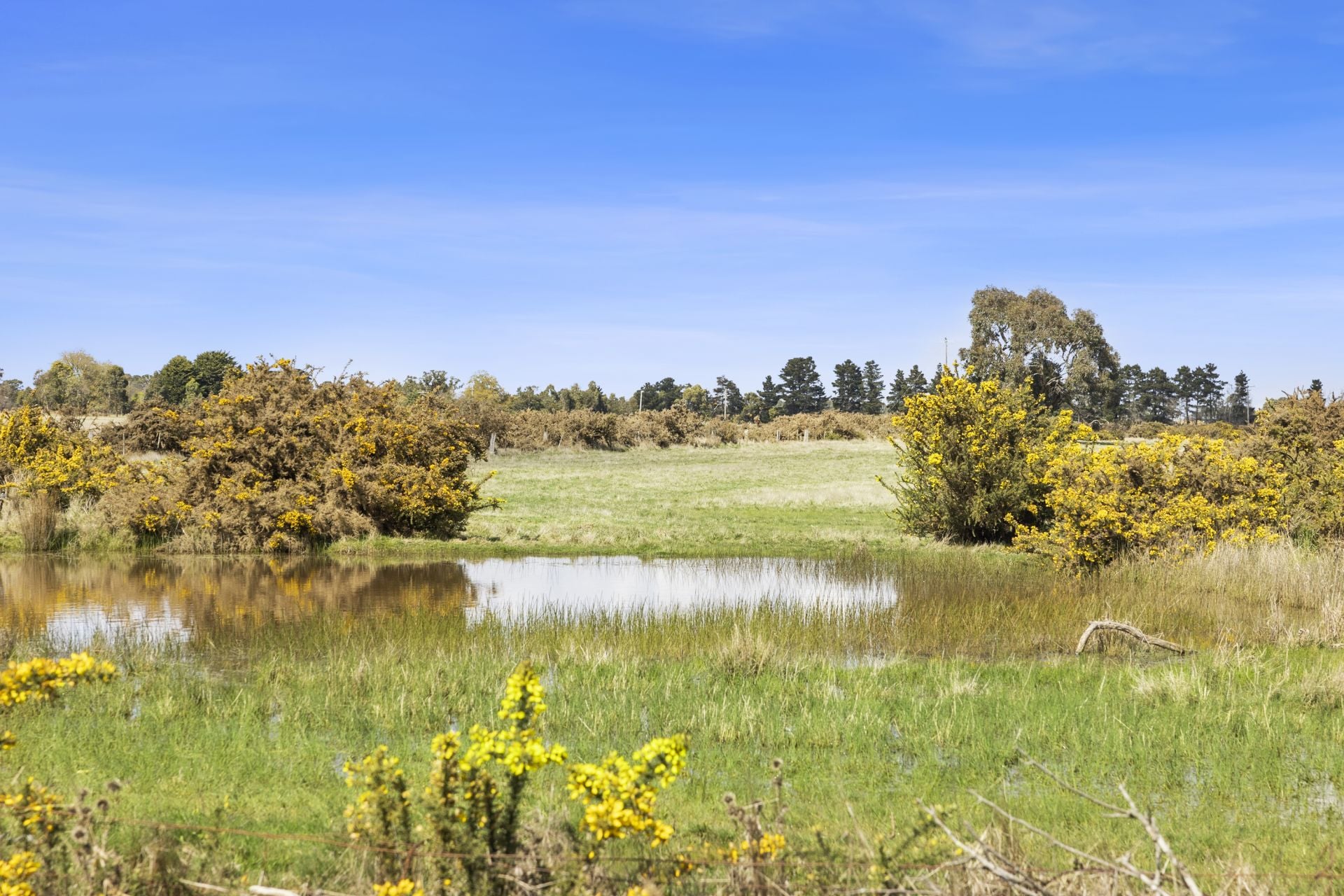 36/ Airport Road, Mitchell Park, Mitchell Park, Mitchell Park - Thumbnail 5