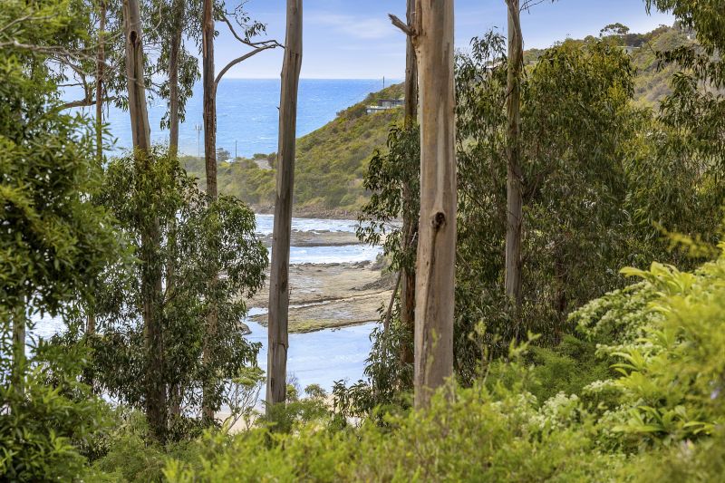 3 Wallace Street, Wye River, VIC, Wye River - Thumbnail 6