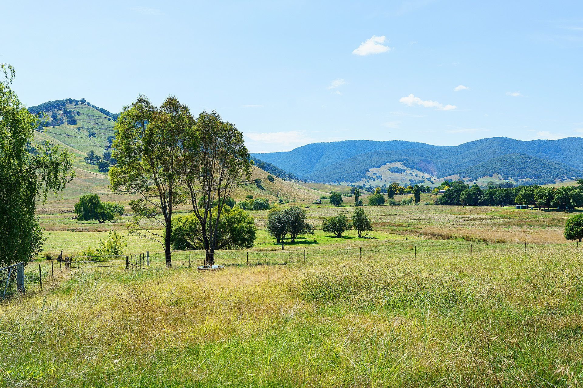 Real Estate For Sale Lot 3A S14/ Tallangatta Creek Road Tallangatta