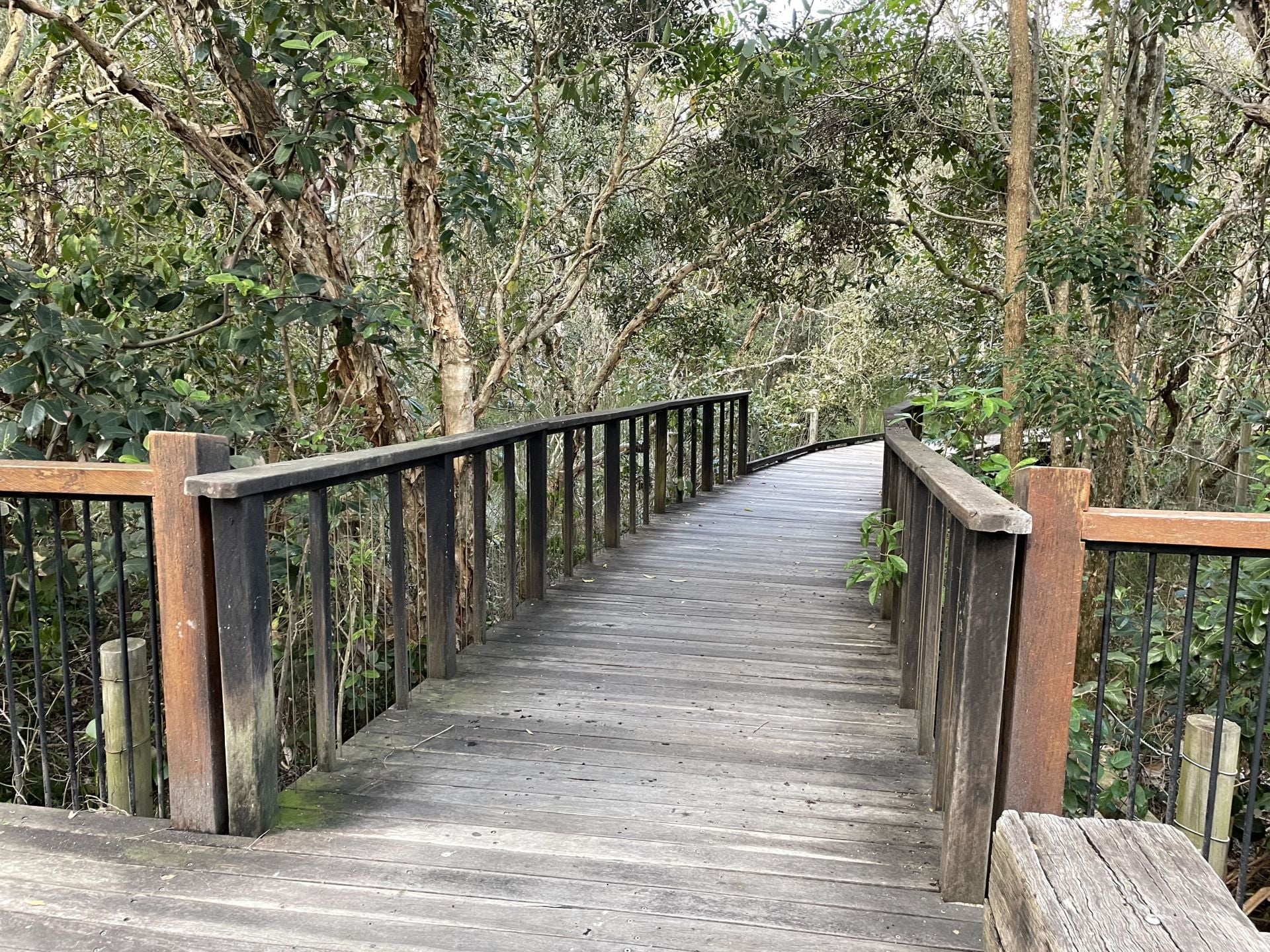43 Boardrider Crescent Mount Coolum QLD, Mount Coolum - Thumbnail 8