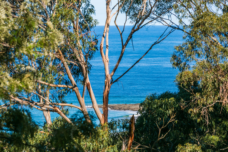 18 The Boulevarde, Wye River, VIC, Wye River - Thumbnail 2