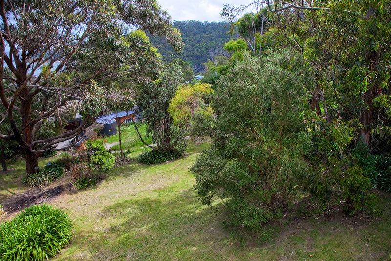 8 Mitchell Grove, Separation Creek, VIC, Separation Creek - Thumbnail 4