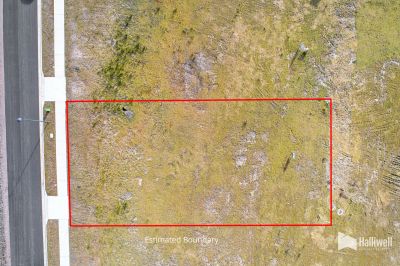 14 Bushland Avenue, Hawley Beach, Hawley Beach - Thumbnail 6