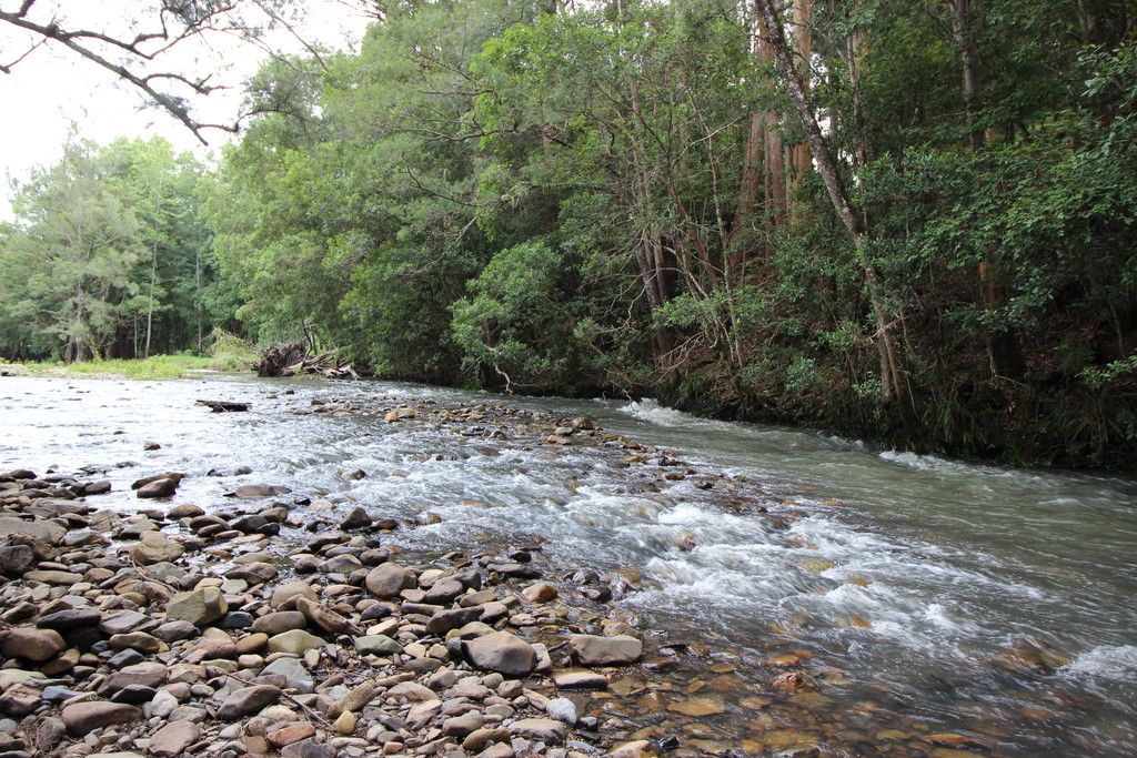 2595 Pappinbarra Rd, PAPPINBARRA NSW 2446