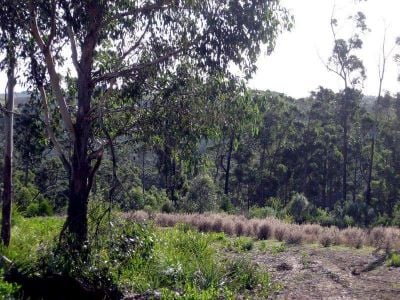 26 Forest Heights Drive, TUGRAH, Tugrah - Thumbnail 6