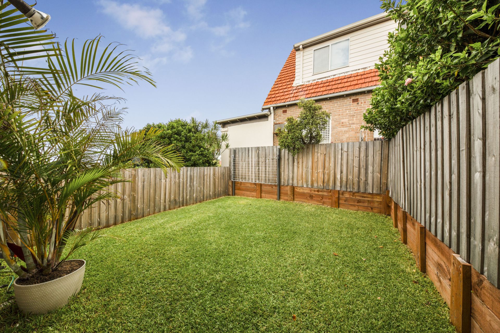 11 Oceanview Avenue, Dover Heights, Dover Heights - Thumbnail 6