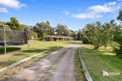 34 Parkers Ford Road, Port Sorell, Port Sorell - Thumbnail 5