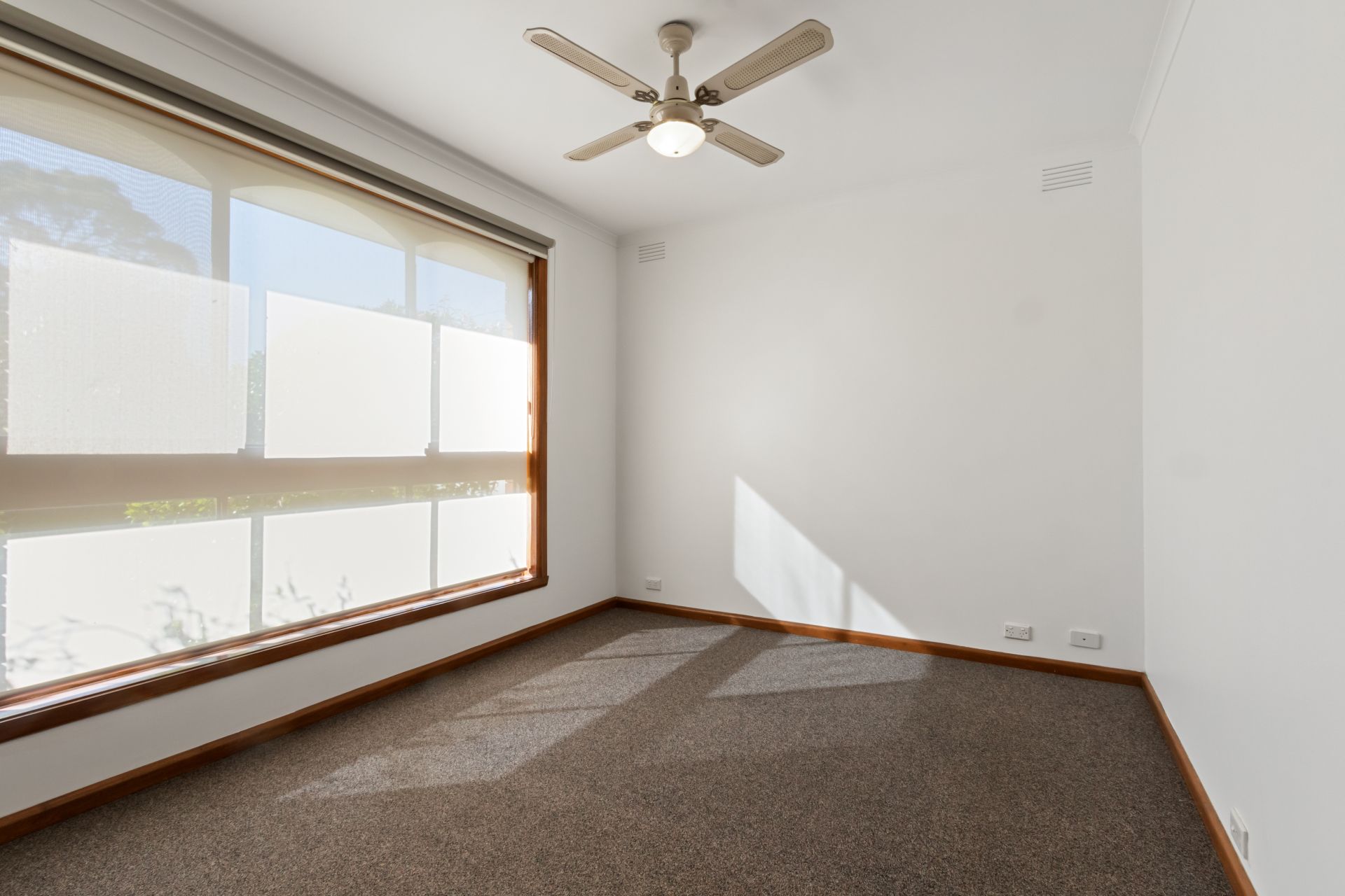 Renovated Delight