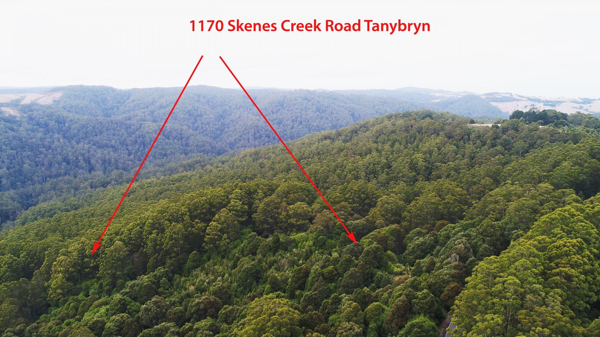 1170 Skenes Creek Road, Tanybryn - Thumbnail 4