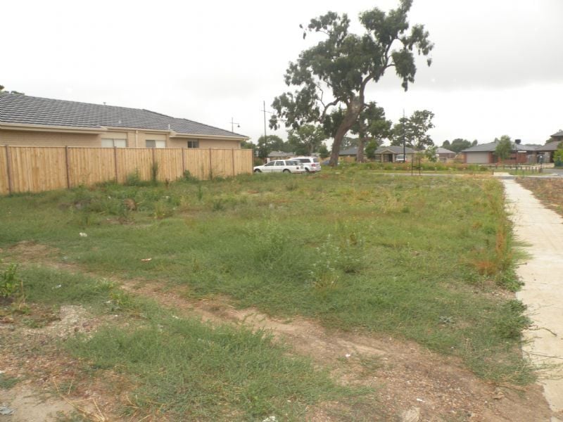 1 Sassafras Avenue DOREEN, Doreen - Thumbnail 3