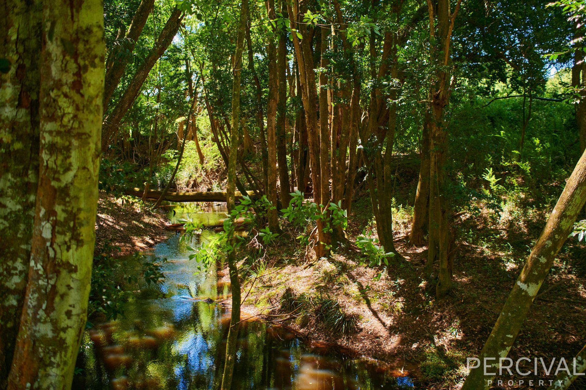 Lot 97 & Lorne Road Upsalls Creek NSW, Upsalls Creek - Thumbnail 5