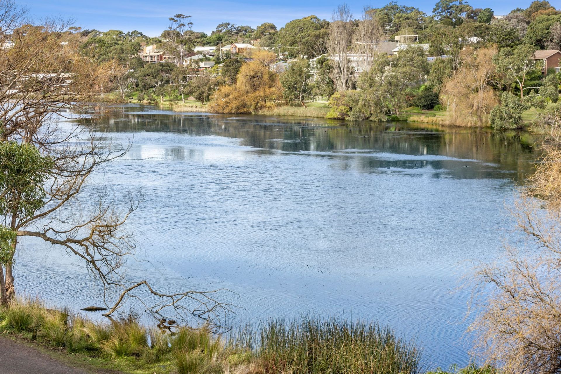 1/16 Riviera Crescent Ocean Grove VIC, Ocean Grove - Thumbnail 4