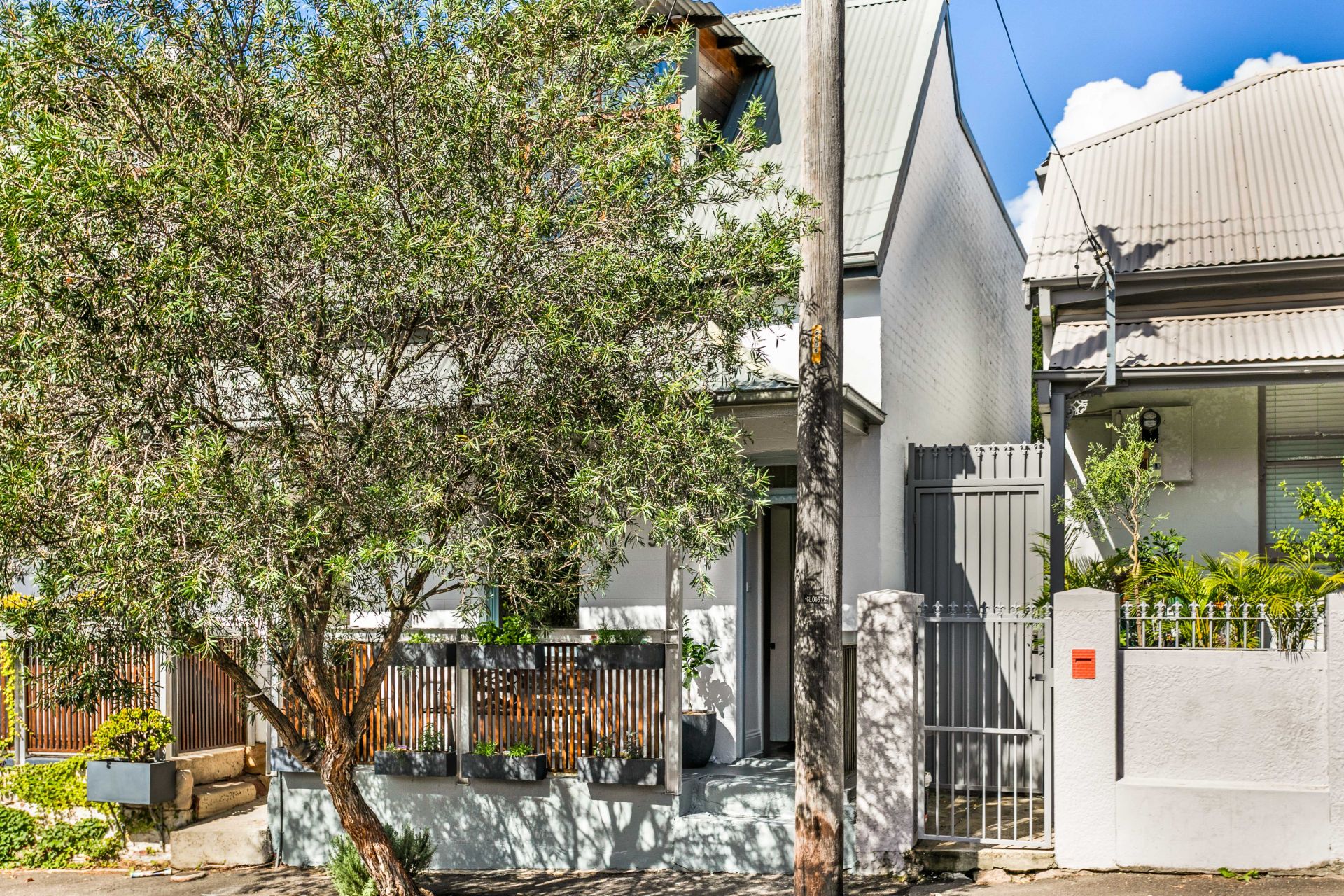 51 Gipps Street Birchgrove NSW 2041 House for Rent 6723745