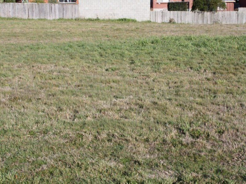 14 The Avenue, Latrobe, Latrobe - Thumbnail 8