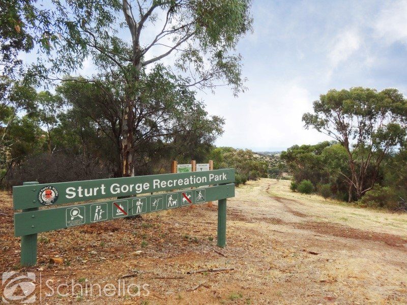 Lot 702 Cnr Gorge Street & Vincent Boulevard, Flagstaff Hill - Thumbnail 6