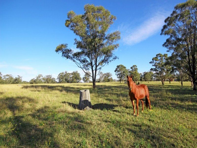 539 Kurmond Road, Freemans Reach - Thumbnail 6