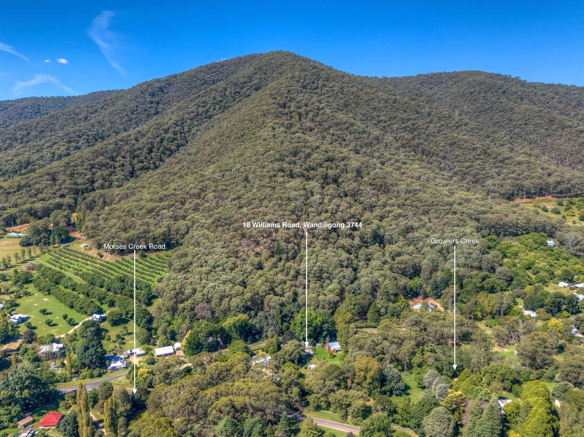 18 Williams Road, Wandiligong Dickens Real Estate