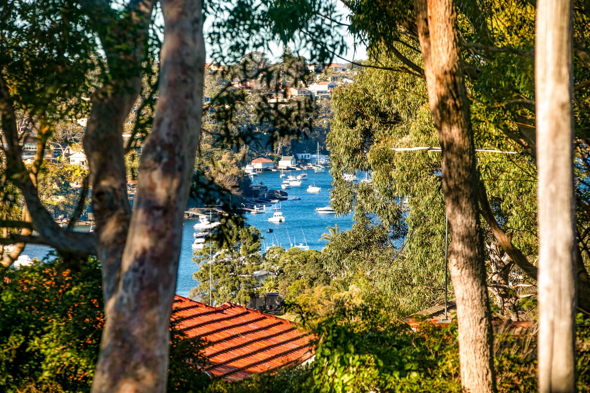 29 Parkview Street, Miranda, Miranda - Thumbnail 3