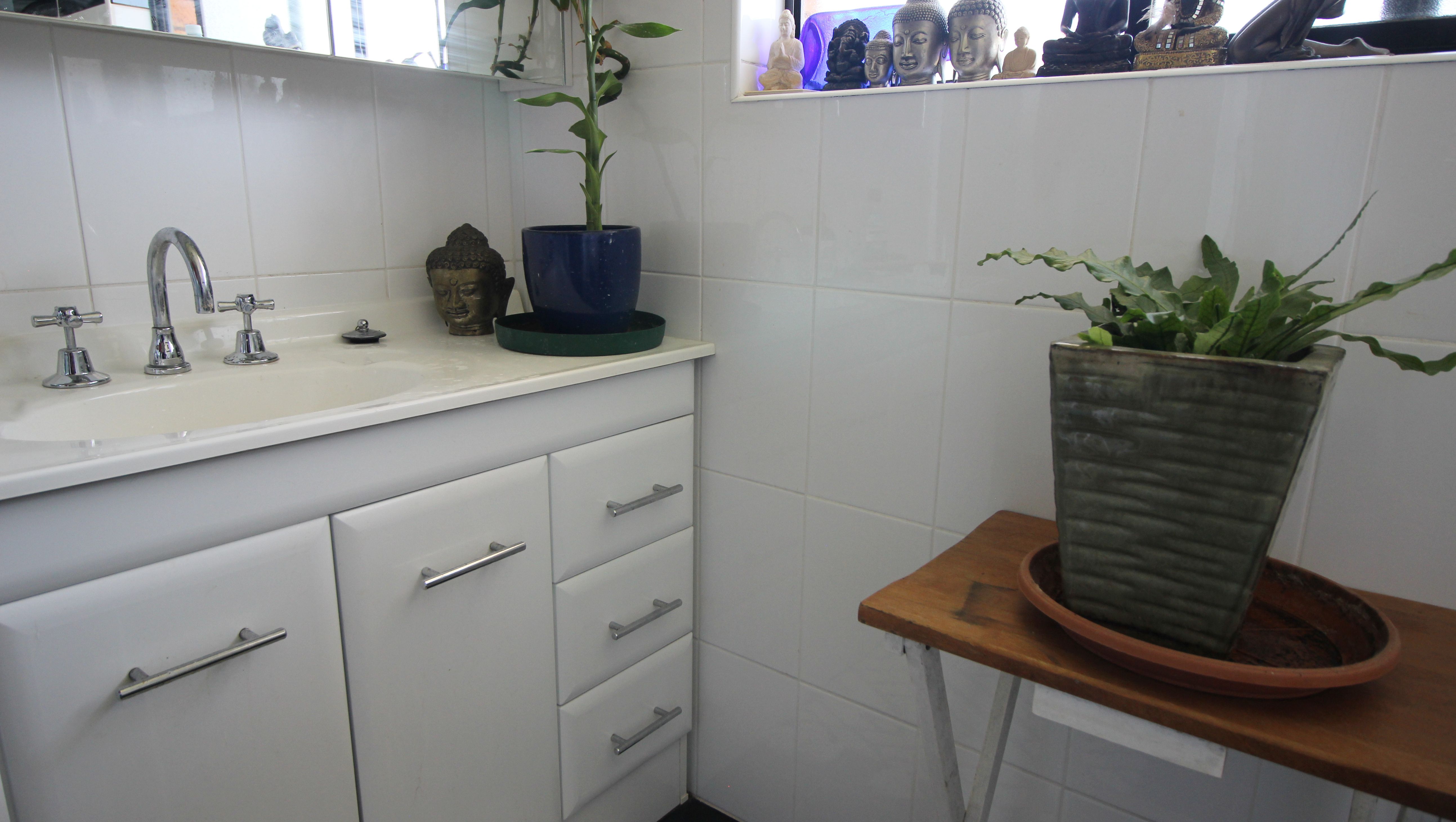 20 Turpentine Crescent, WAUCHOPE NSW 2446
