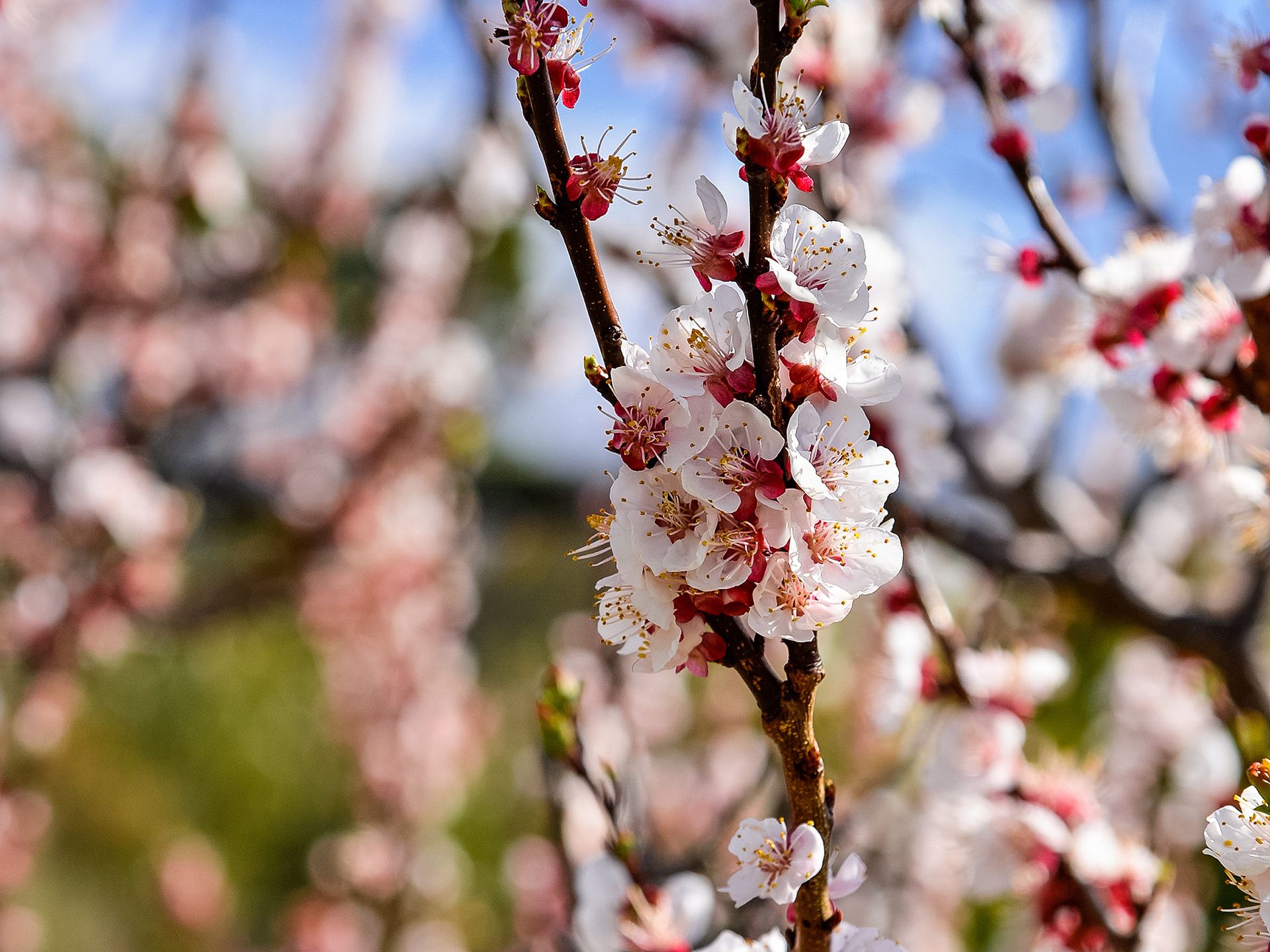 30 Ferntree Road, Eaglehawk Neck Kate Storey Realty