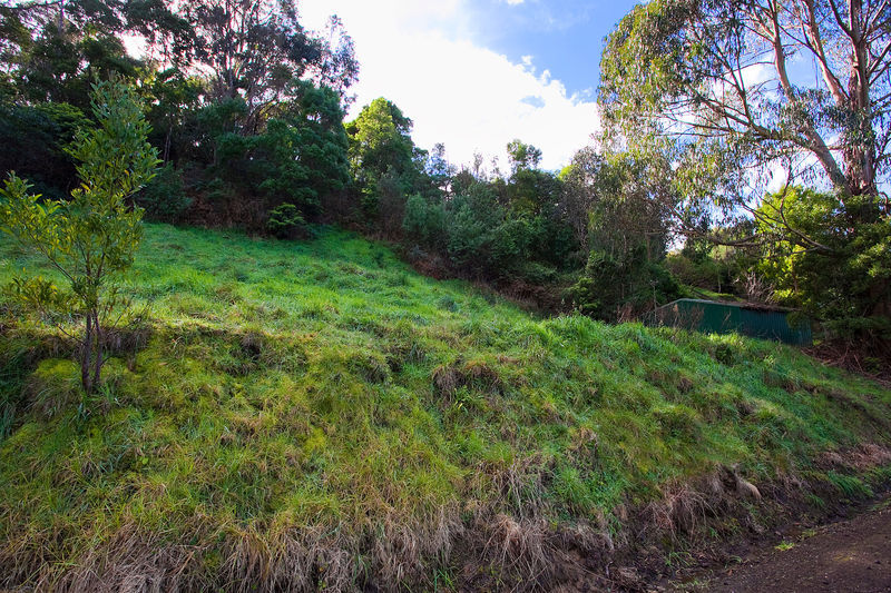 28 Riverside Drive, Wye River, VIC, Wye River - Thumbnail 4